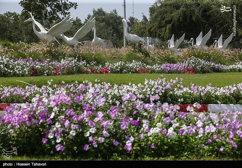 بهار در جزیره کیش 