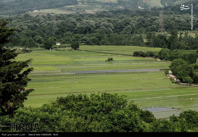  طبیعت زیبای بهاری مازندران‎