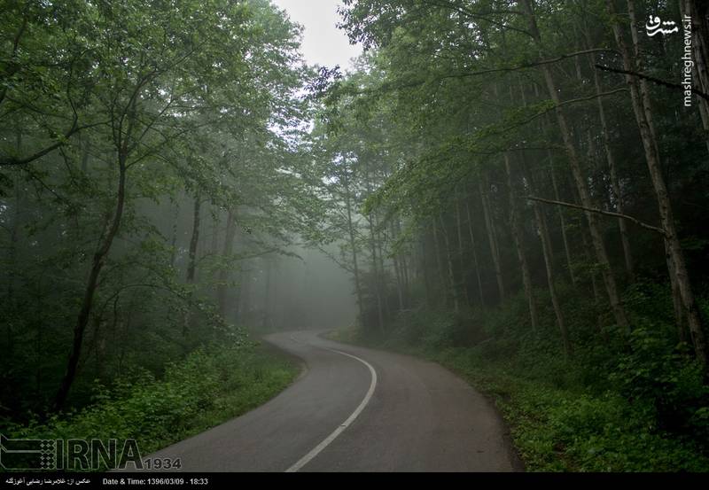  طبیعت زیبای بهاری مازندران‎