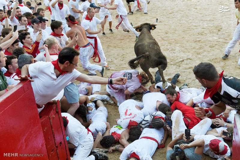 آغاز جشنواره سان فاریمن در اسپانیا