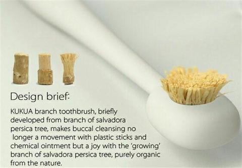 تبلیغ جذاب «چوب مسواک اراک» در اروپا +فیلم