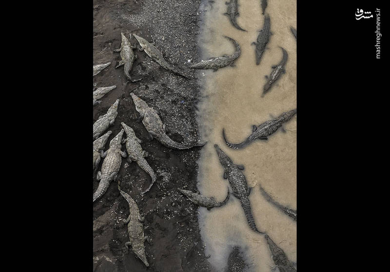 برندگان مسابقه عکاسی در سفر ۲۰۱۷ برندگان مسابقه عکاسی در سفر ۲۰۱۷