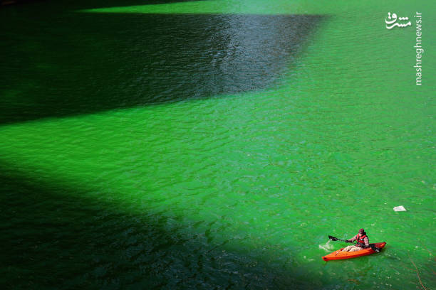 سبز شدن رنگ آب رودخانه شیکاگو