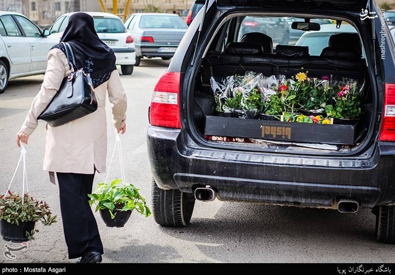 بازار گل و گیاه در آستانه نوروز 