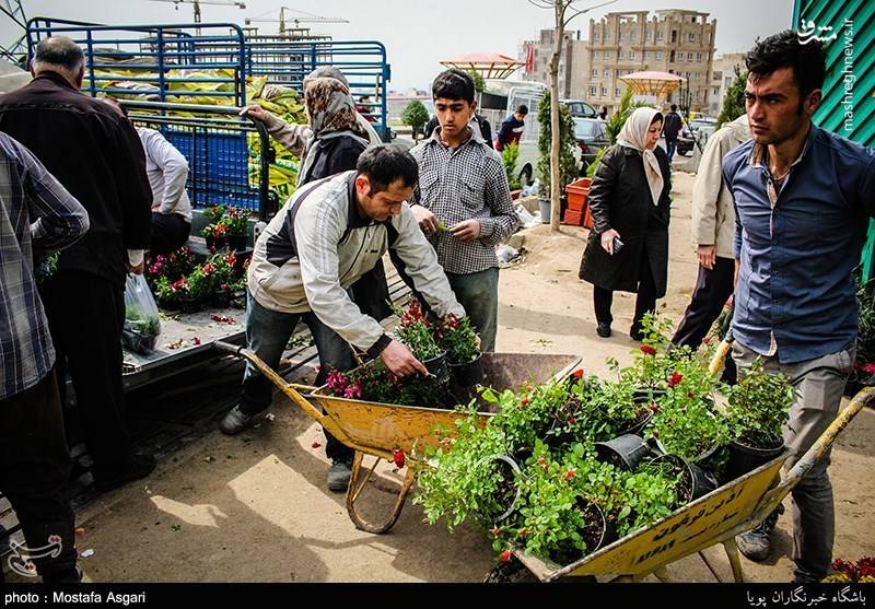 بازار گل و گیاه در آستانه نوروز 