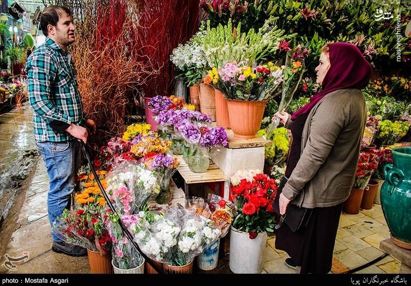 بازار گل و گیاه در آستانه نوروز 