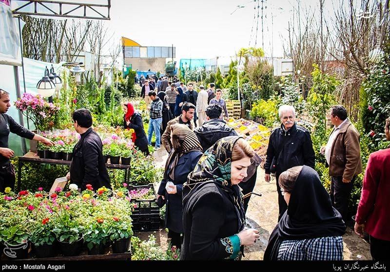 بازار گل و گیاه در آستانه نوروز 