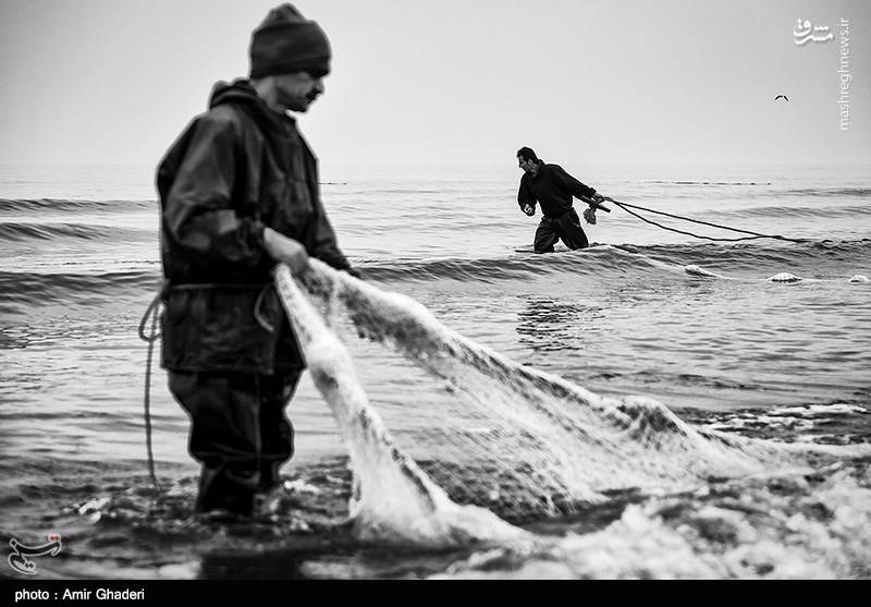  ماهیگیری در بندرانزلی 