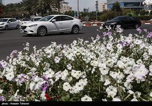 بهار در جزیره کیش 