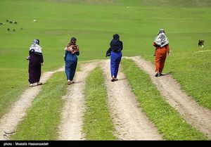 عکس/ جشنواره فرهنگ و اقتصاد در روستای آق قمیش