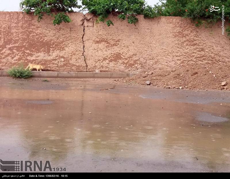 گرد و خاک و بارش باران در یزد