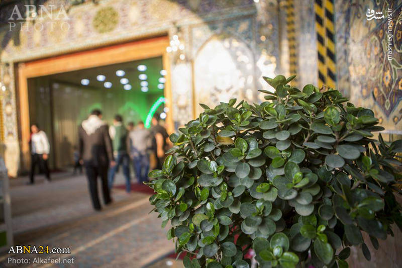 تزئین و گل آرایی حرم حضرت عباس(ع) 