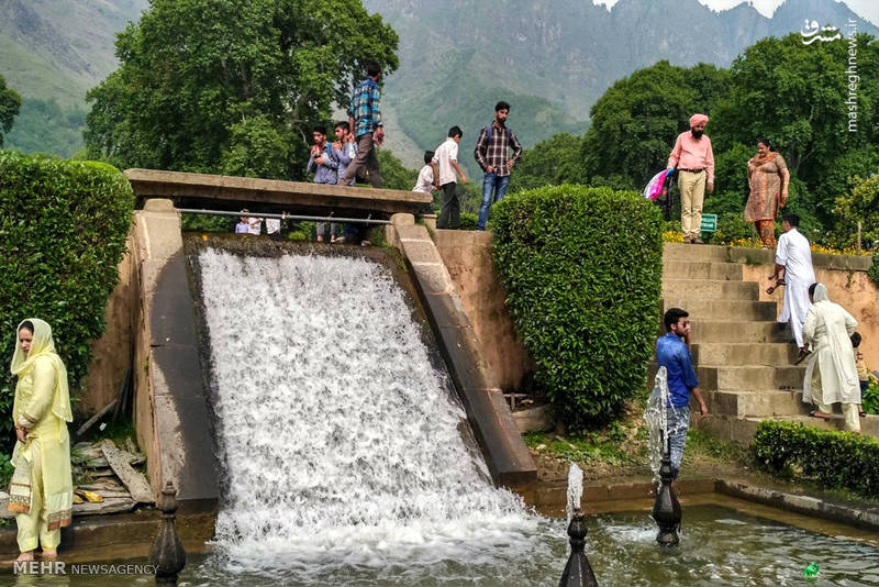 باغ نشاط کشمیر