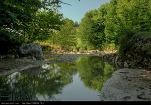  طبیعت زیبای بهاری مازندران‎