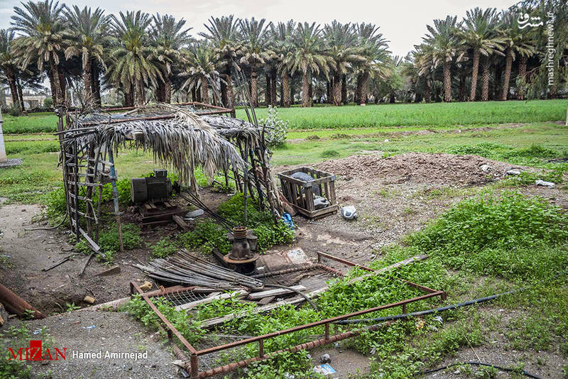  خشکسالی وکم آبی در جنوب کرمان