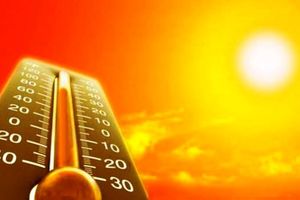 منشاء گرمای بیش از حد این روزها چیست؟