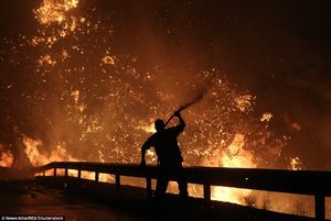 آتش سوزی گسترده در جنگل‌های یونان 