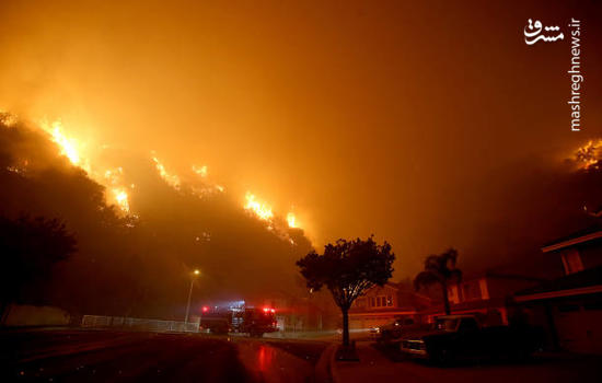 عکس/ آتش سوزی گسترده در مناطق جنگلی کالیفرنیا