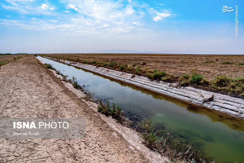 تالاب صالحیه 