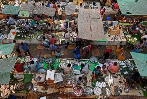 عکس هوایی از بازار ماهی فروشان در هند