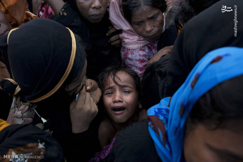 مسلمانان روهینگیا در بنگلادش‎
