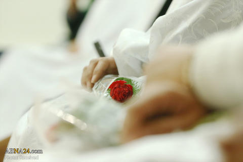 عکس/ جشن ازدواج در حرم حضرت معصومه(س)