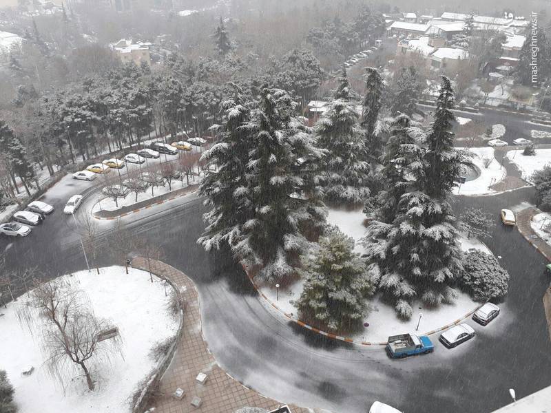 تصاویر بارش برف تهران