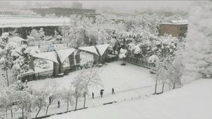 دانشگاه تهران غرق در برف