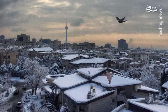 عکس/ تهرانِ سفیدپوش از نمایی زیبا