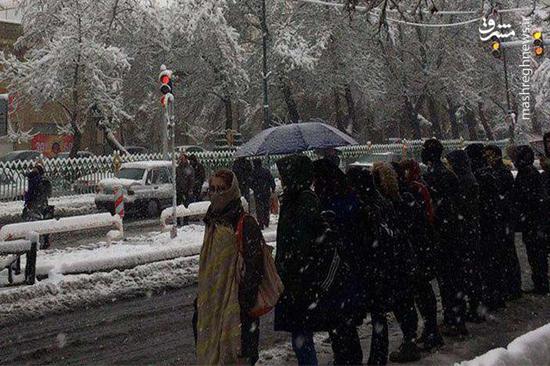 عکس/ وضعیت حمل‌ونقل تهران در روز برفی
