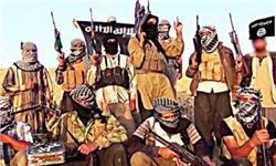 هشدار مصر درباره حضور عناصر فراری داعش در شمال آفریقا