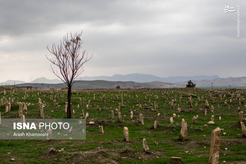 قبرستان قربانیان زلزله سرپل ذهاب - روستای کوئیک عزیز