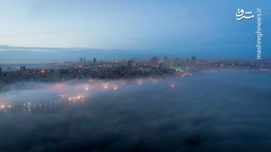 عکس/ شبی که استانبول غرق در مِه بود