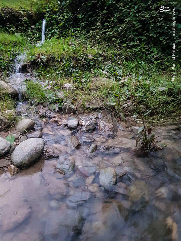  در جایی دریاچه ای را در آغوش یک جنگل به تصویر کشیده و در نقطه ای دیگر با درختان سر به فلک کشیده به خلق نمایشی تازه پرداخته است.