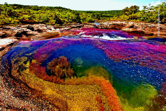 فیلم/ رودخانه رنگین کمانی