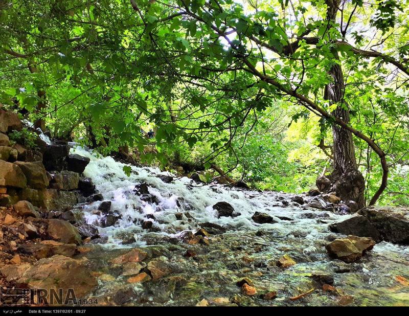 روستای پالنگان بسیار سرسبز و دارای آب و هوای بسیار مطلوب و دل انگیز در فصل‌های بهار، پائیز و زمستان است و از این لحاظ از دیدنی‌ترین نقاط استان کردستان به شمار می رود.