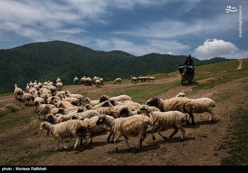 	

افشین تصوفی معلم مدرسه عشایری مصباح روستای سیه پشت شهرستان تالش، پس از پایان زمان تدریس در مدرسه، سوار بر موتور به سمت خانه اش حرکت میکند. او هر روز مسیر 25 کیلومتری از شهرستان تالش تا مدرسه را با موتور رفت آمد میکند. این مسیر کوهستانی و در زمان بارندگی بسیار صعب العبور است، او در فصل سرما گاهی از اوقات مجبور است به علت پوشیده شدن مسیر از برف پیاده رفت و آمد کند
  