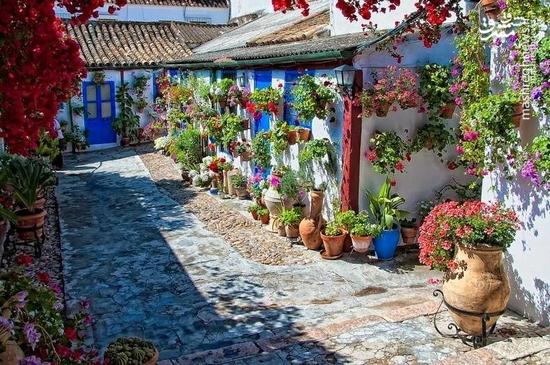 عکس/ زیباترین خیابان در اسپانیا