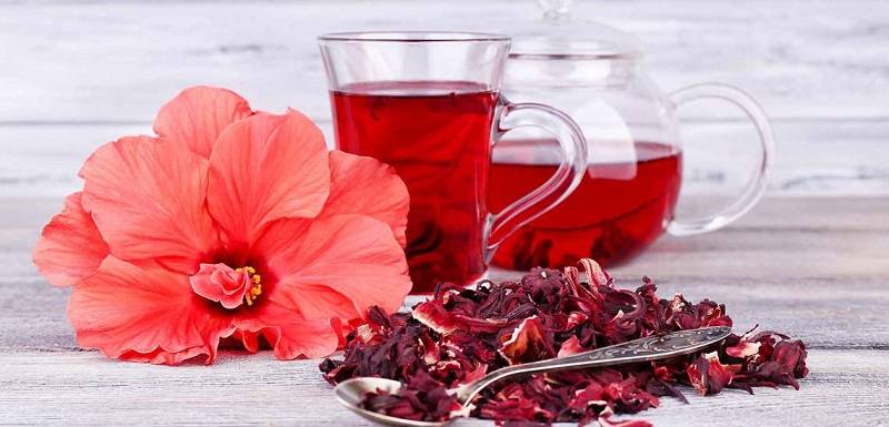 خواص شگفتانگیز چای ترش: نوشیدنیای که سلامتی شما را تضمین میکند!