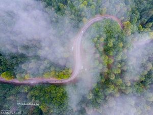 رویایی ترین جاده جنگلی ایران