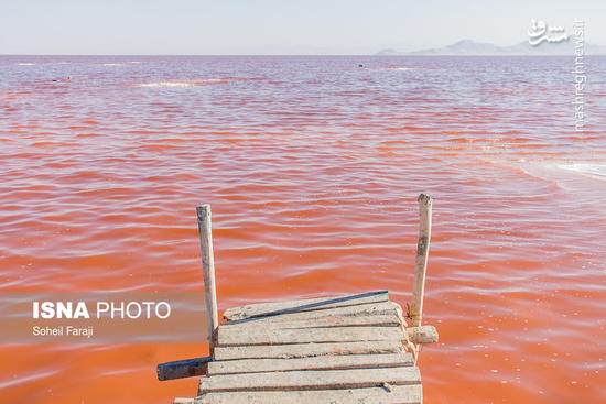 عکس/ قرمز شدن رنگ دریاچه ارومیه