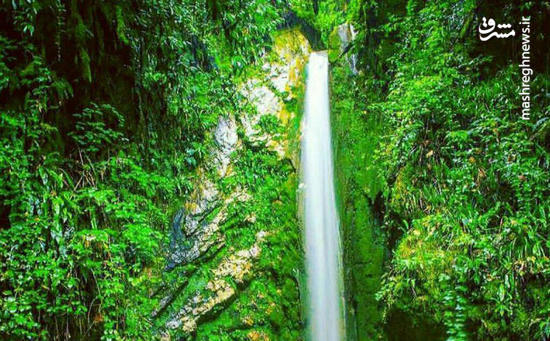 عکس/ آبشاری زیبا در دل طبیعت آمل