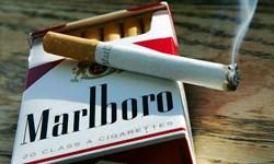 تلاش یک مدیر دولتی برای کسب سود صدها میلیاردی از واردات سیگار
