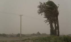 مصدومیت ۵۴۰ نفر در طوفان سیستان و بلوچستان