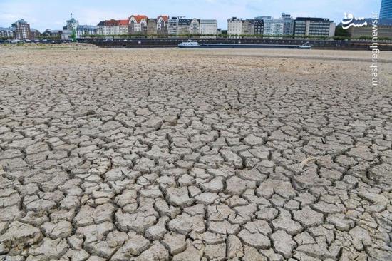 عکس/ موج گرما در اروپا رود راین را خشکاند
