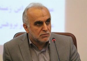 وزیر اقتصاد: شروط INSTEX جدید نیست دژپسند نمایه