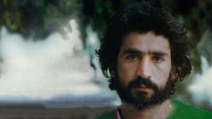 ایرج دانایی فرد