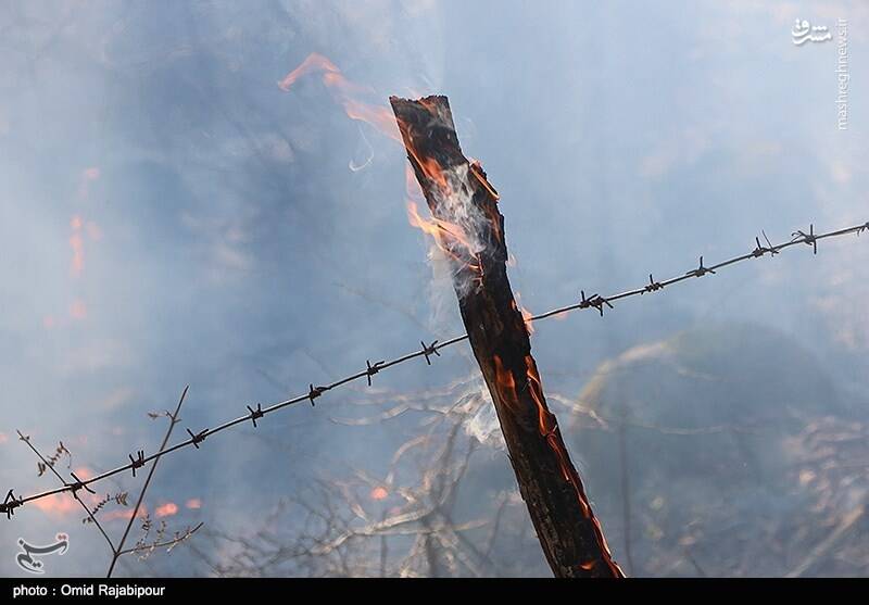 آتش‌سوزی در جنگل‌های سیاهکل گیلان