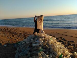 جمع آوری داوطلبانه زباله ها در ساحل عسلویه