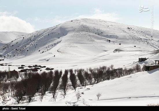 عکس/ بارش برف در ارتفاعات خراسان شمالی